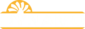 Dynamo
